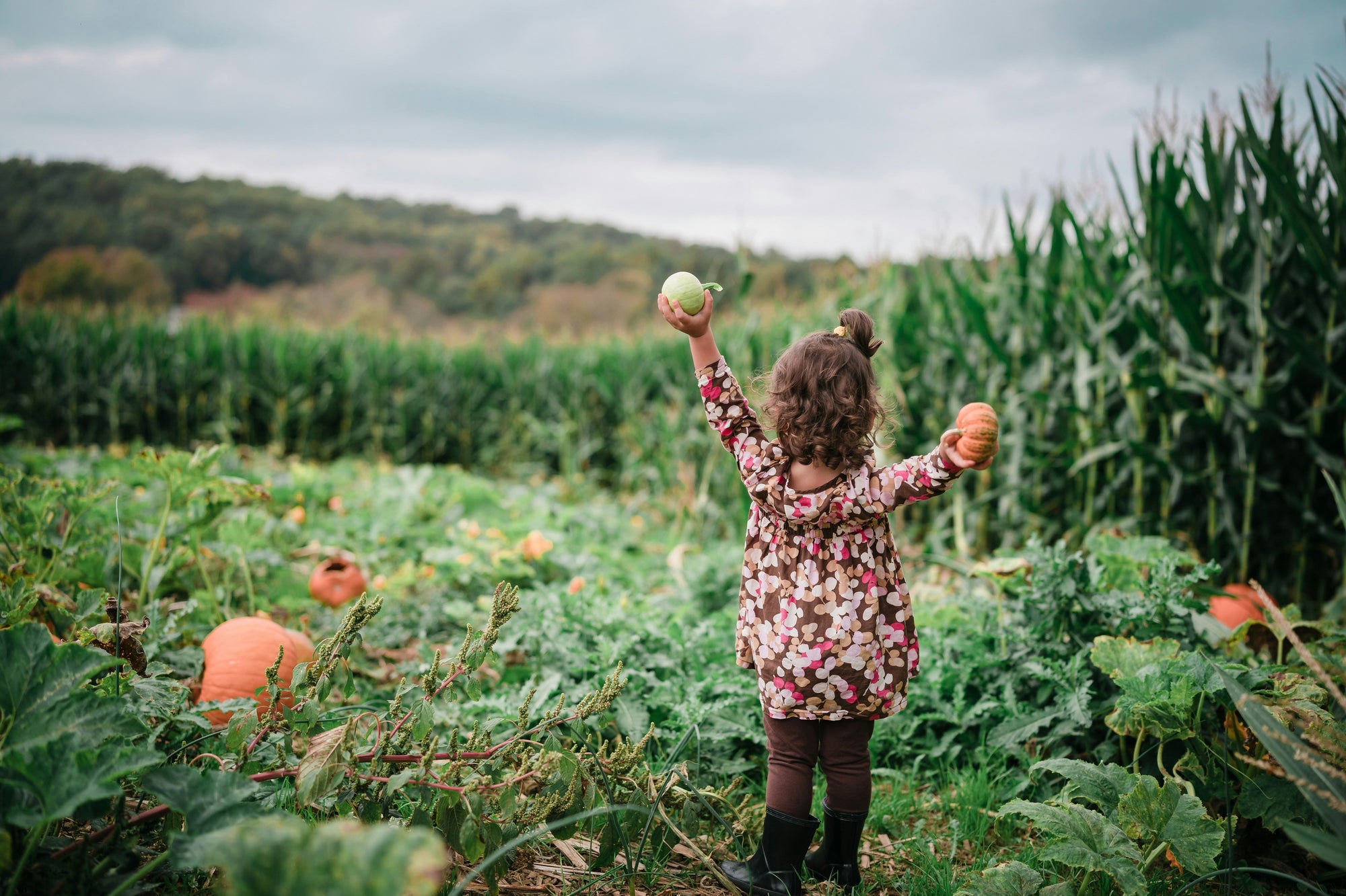 Zinc: The Guardian of Growth, Brain Development, and Immunity