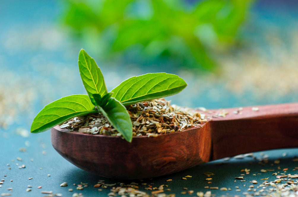 Tulsi, the Plant With Countless Virtues