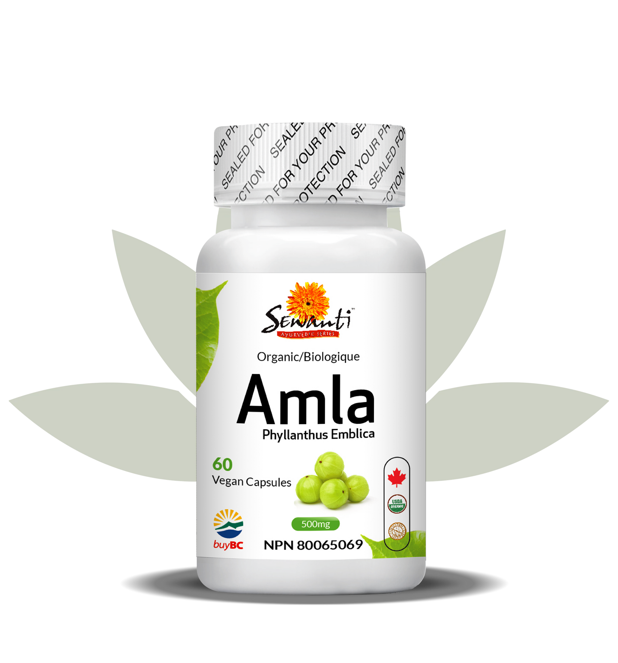 Amla capsules bio