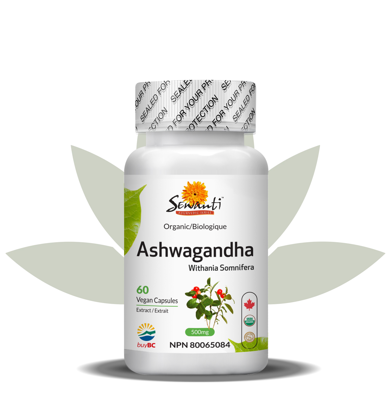 Ashwagandha capsules bio