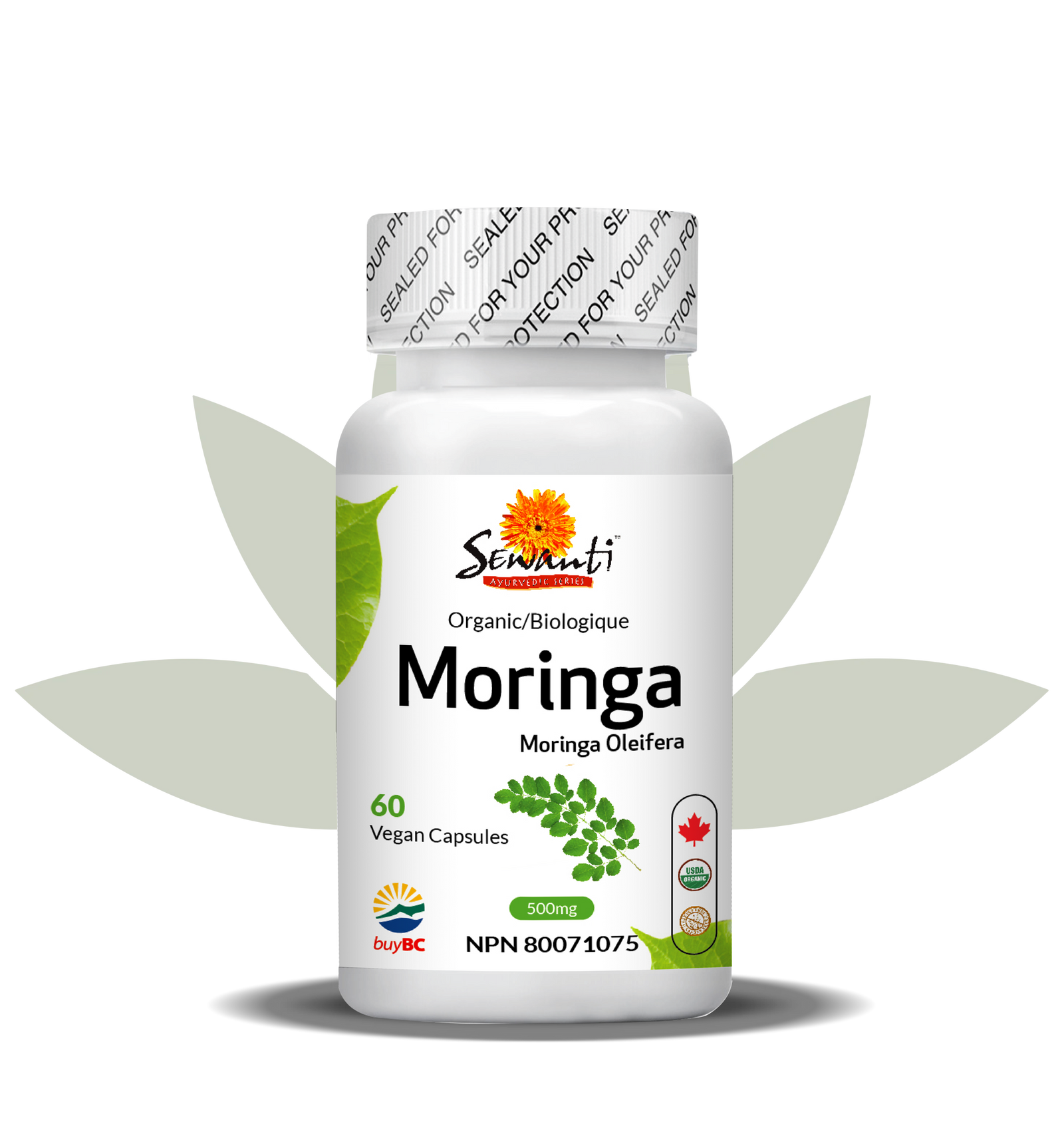 Moringa capsule bio