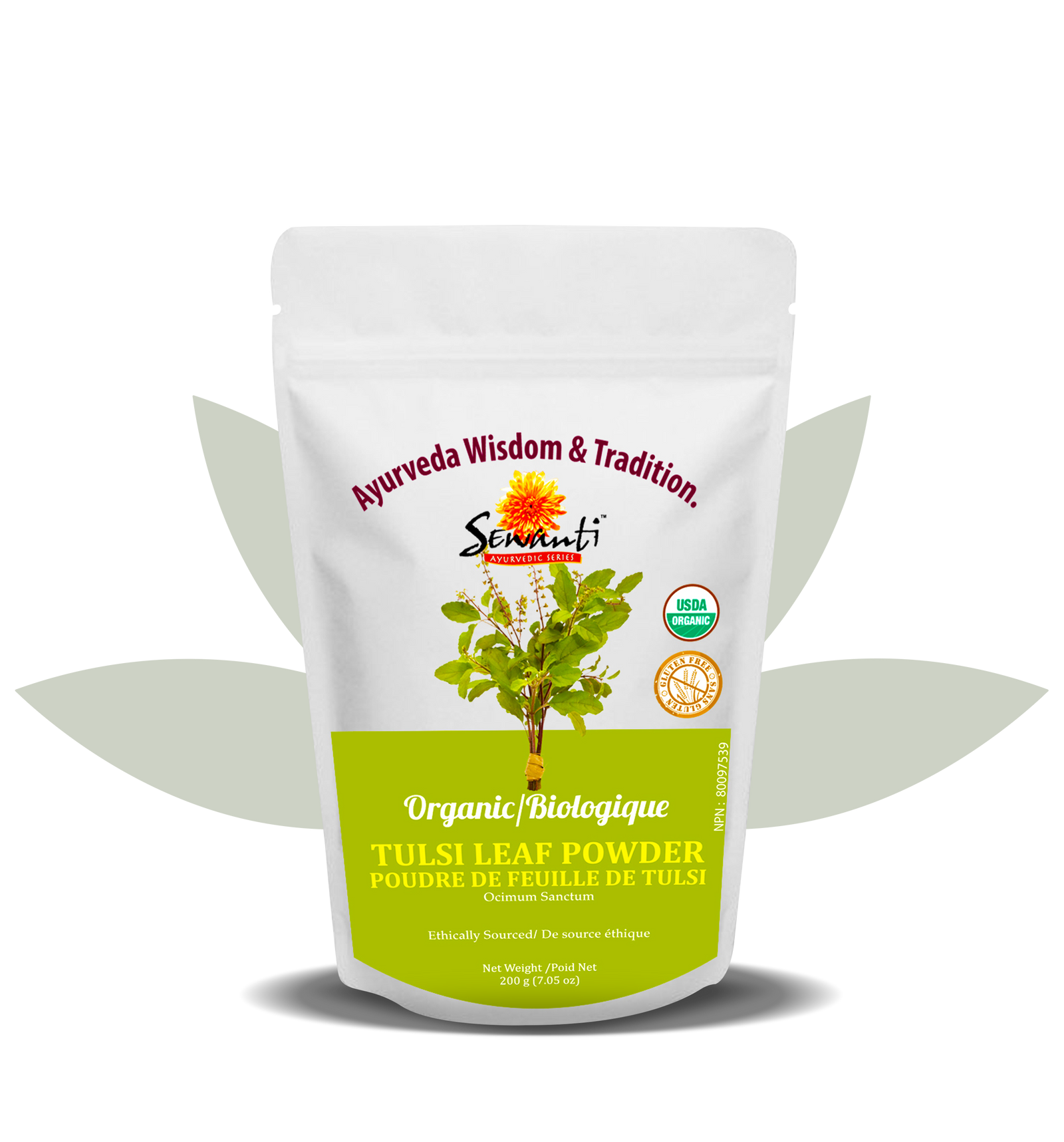 Tulsi (Basilic sacré) bio